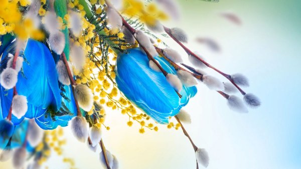 Весна природа