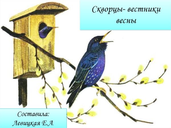 Вестники весны