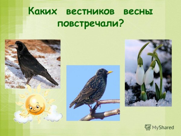 Праздник Скворцов вестников весны