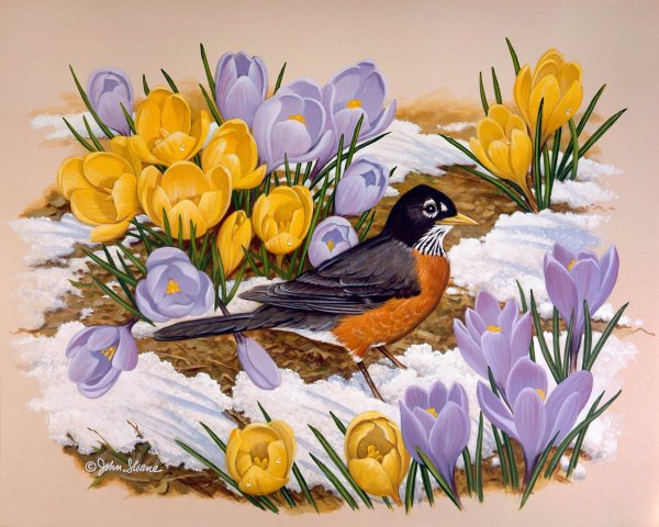 Первые весенние птицы