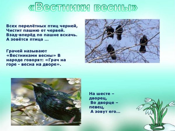 Николай Заболоцкий Уступи скворец уголок