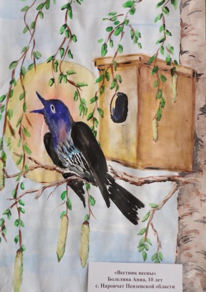 Грачи весной