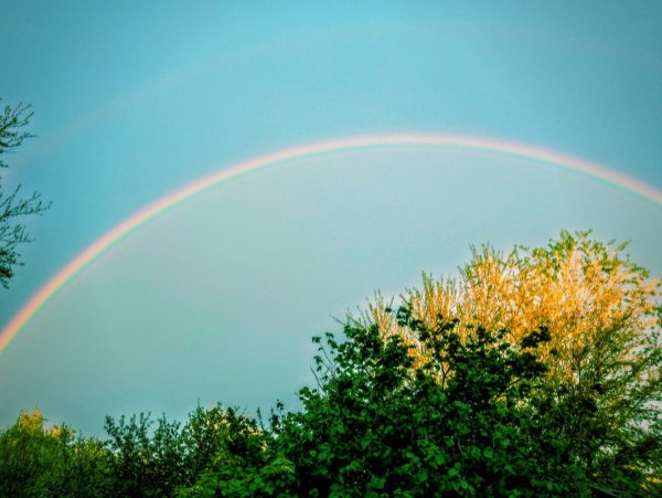 Весенняя Радуга
