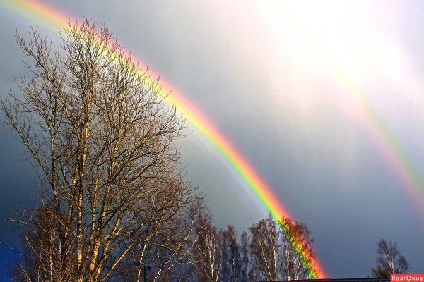 Весна дождь Радуга