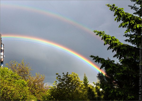 Радуга из окна