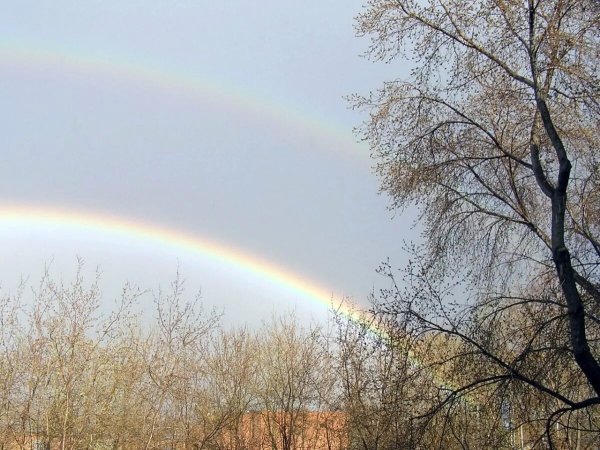 Весна дождь Радуга