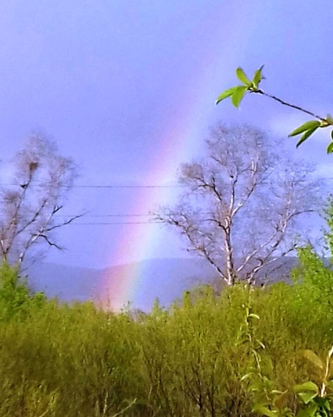 Весна Радуга