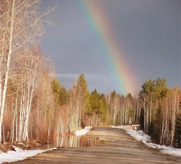 Радуга весной