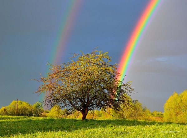 Радуга после дождя