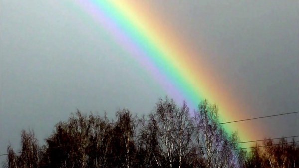 Радуга Марево