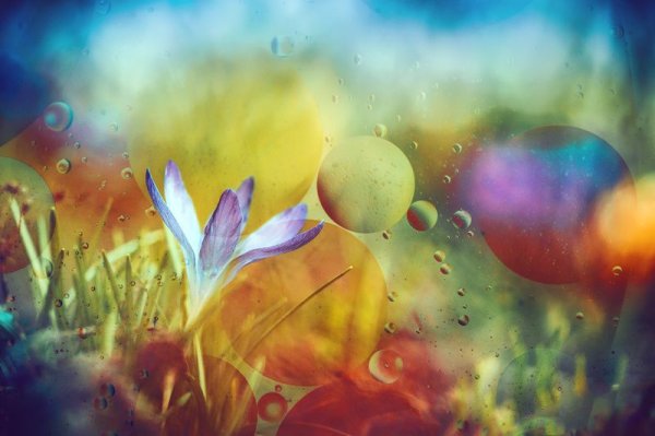 Весенняя Радуга