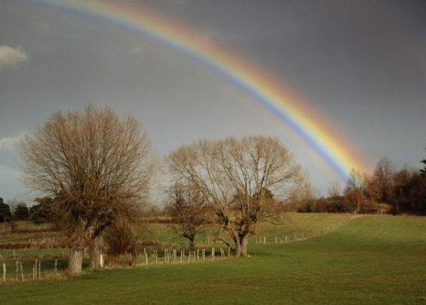 Весной бывает Радуга