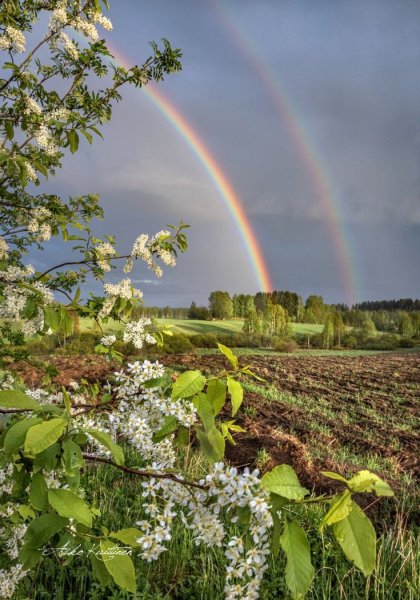 Весенняя Радуга