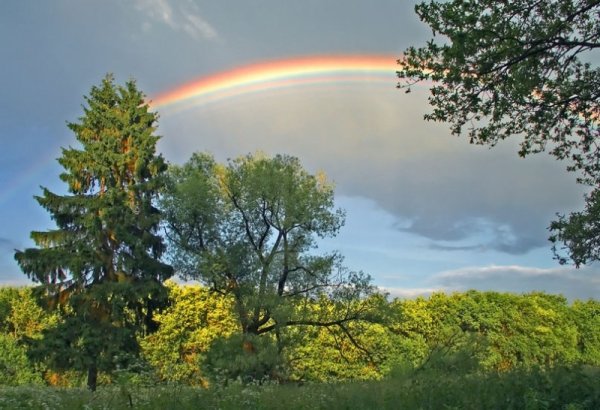 Весенняя Радуга фото