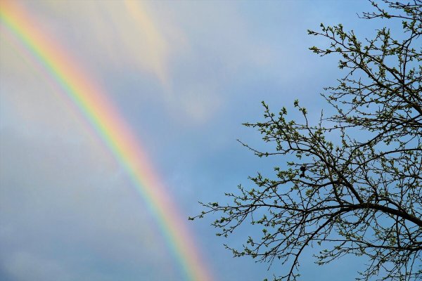 Вертикальная Радуга в небе