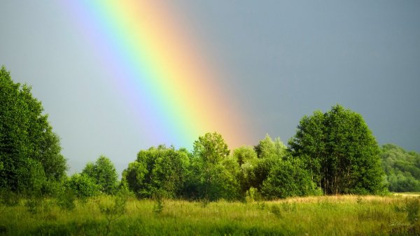 Радуга весной