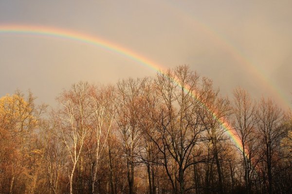 Снежная Радуга