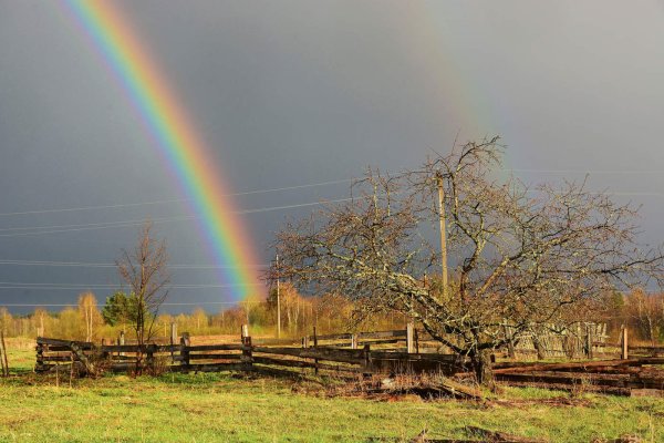 Радуга весной