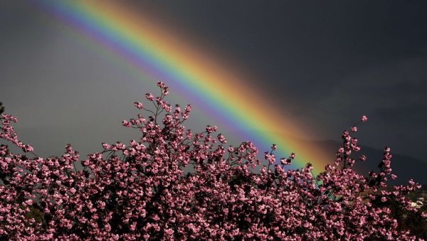 Радуга в природе