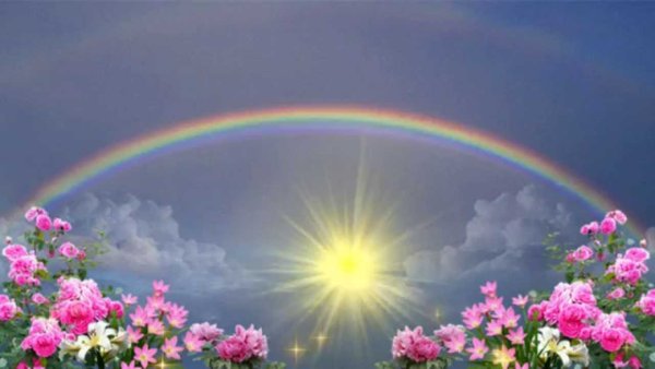 Радуга летом