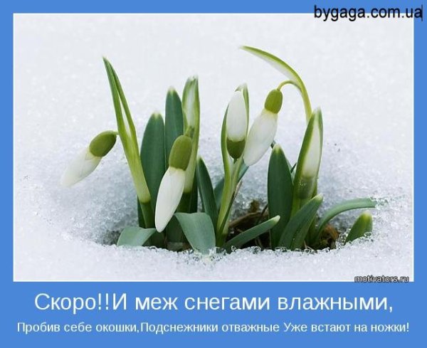 Весна ожидание реальность