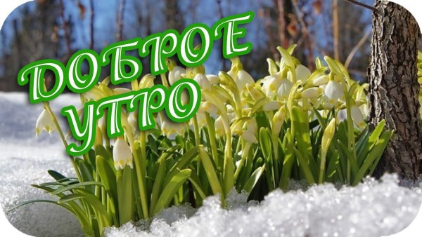 Весна уж скоро