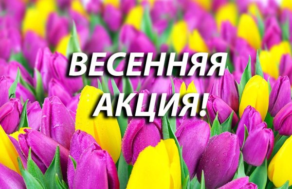 Весенняя акция