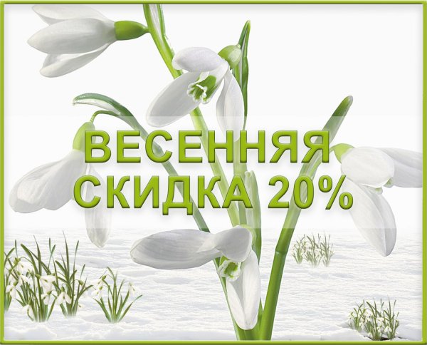 Весенняя скидка 20%