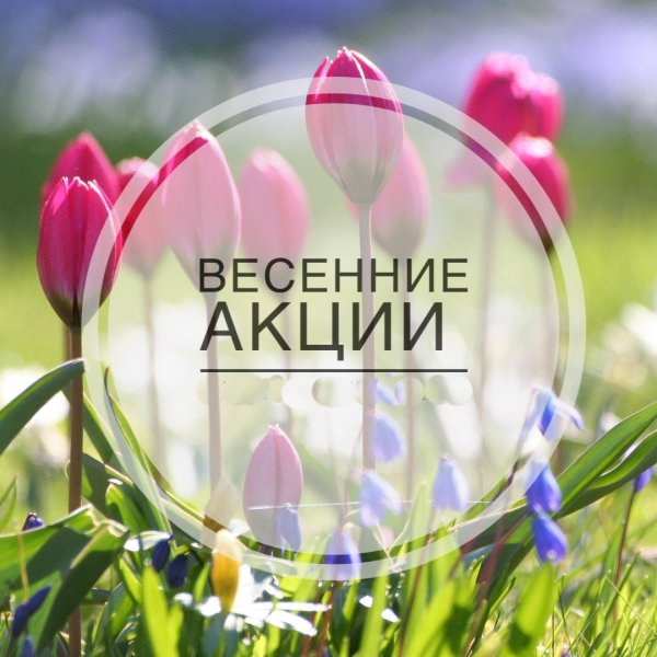 Весенние скидки