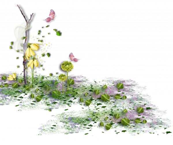 Природа на прозрачной основе