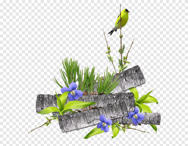 Клипарт Весна на прозрачном фоне