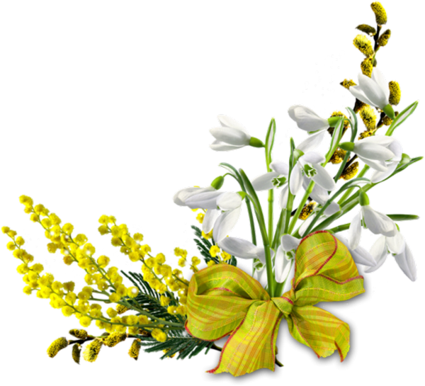 Вена на прозрачном фоне