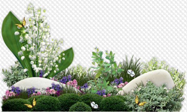 Весенний клипарт на прозрачном фоне