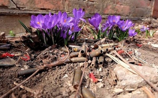 С праздником 9 мая