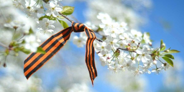 Акжигитов, «последняя встреча»