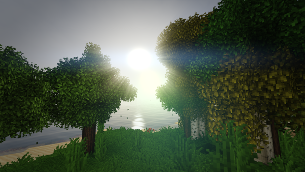 Майнкрафт лес с шейдарами