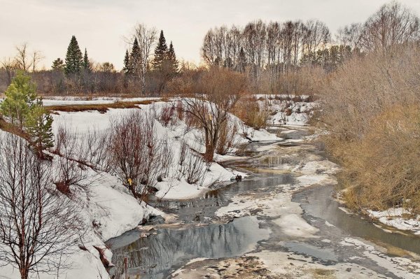 Весна в Томской области