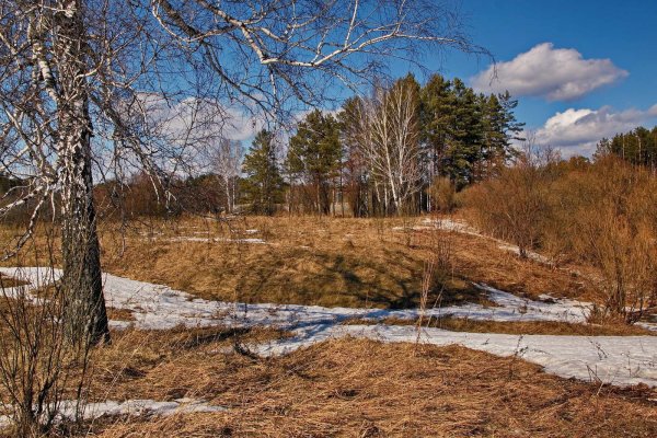 Томск весной