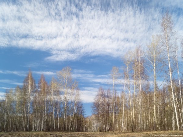 Весна апрель 2020