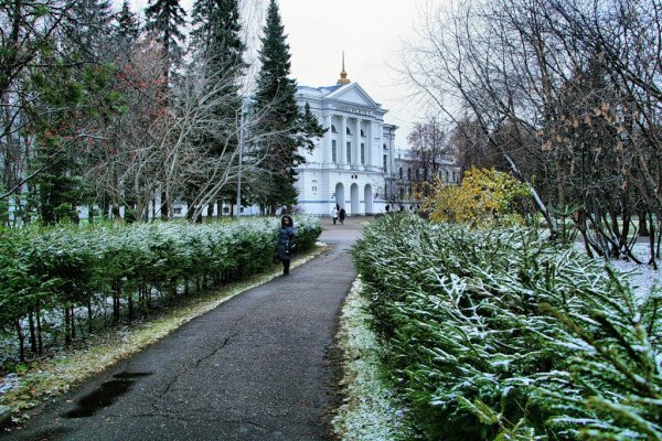 Университетская роща Томск Весна