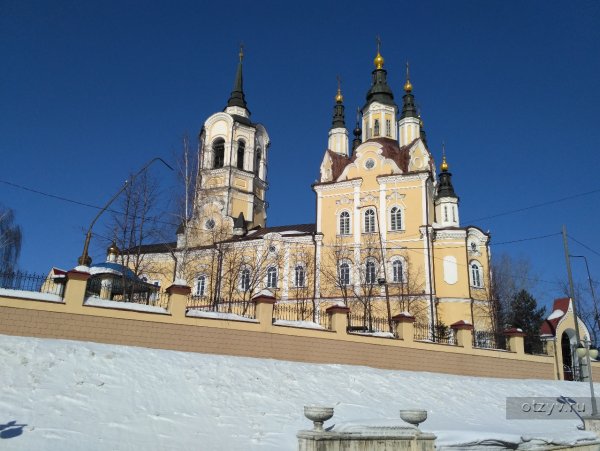 Цветение черемухи Томск