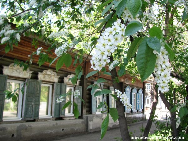 Река Обь Томск