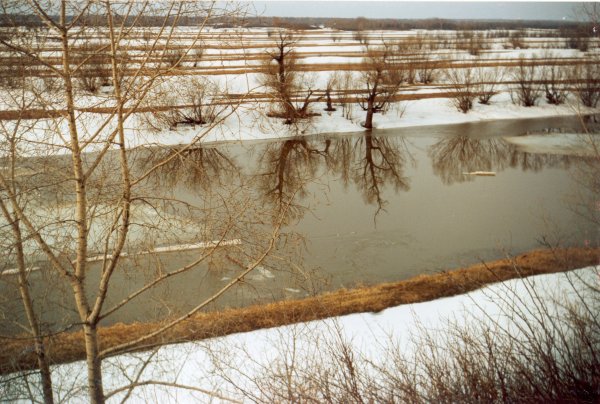 Весенние фотографии на рабочий стол