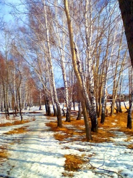 Река Томь Кемерово