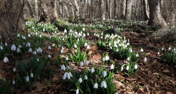 Ул вешняя Томск