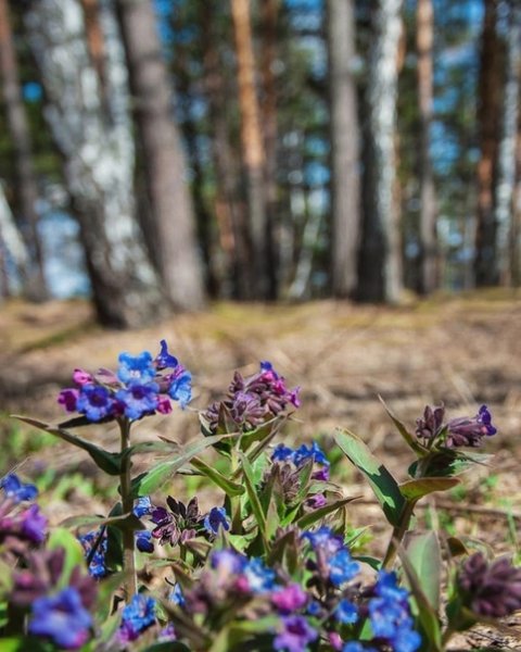 Апрель в Сибири