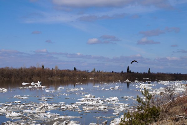 Весна в Сибири