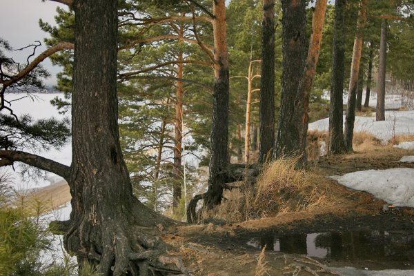 Дом архитектора Хомича Томск