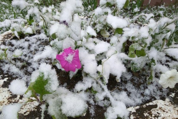 Улицы Томска весной