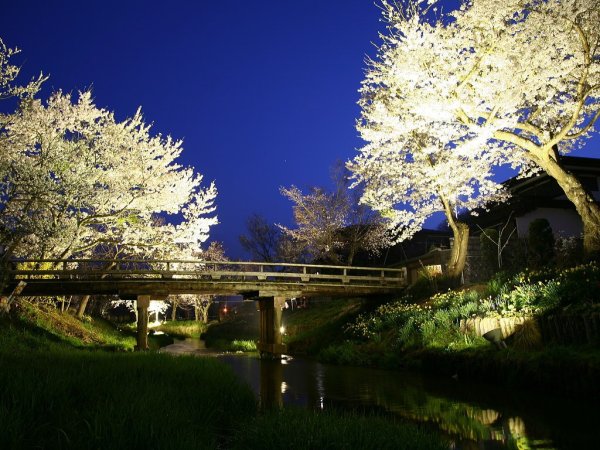 Ночная Весна